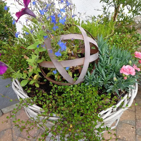 Le Chant Du Merle Couette-café 3*